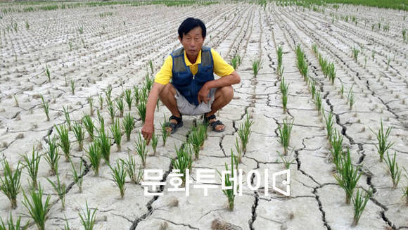 인천시 강화군 하점면 염해 피해 입은 농민이 하소연 하고 있다.