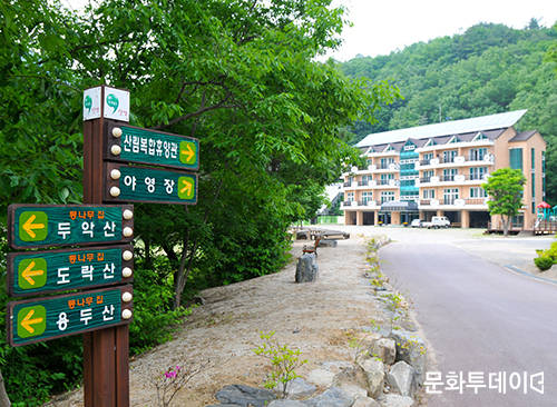 소선암휴양림. (출처: 단양군청)