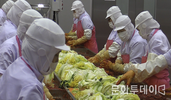정선공장에서 김치제조를 하고 있는 모습
