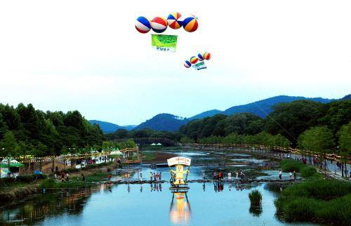 담양 대나무축제